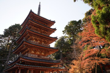 紅葉に包まれる秋の山寺