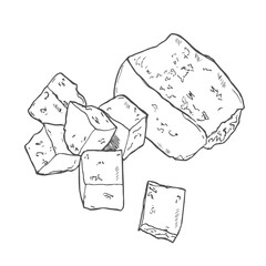 Hand drawn sketch black and white soybean, soy plant, leaf, tofu. Vector illustration. Elements in graphic style label, card, sticker, menu, package.