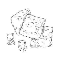 Tofu cheese cubes, retro hand drawn vector illustration. Organic soy product for healthy natural nutrition, vegan protein food, sketch vintage engraving