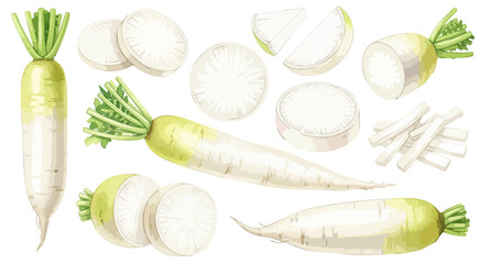 大根（だいこん）のイラストセット（カット・葉付き）,根菜,野菜,和食,水彩風,リアルイラスト