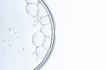 Cosmetic moisturizing gel or skin serum in a petri dish. Copy space