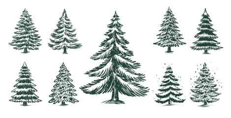 Christmas tree set on white, hand drawn illustration	
