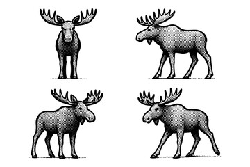 Obraz premium Retro halftone moose collection: vintage wildlife design in pop art style