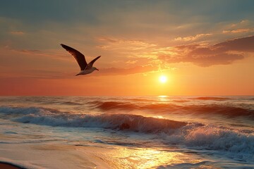 Coastal scene featuring a gull soaring across a seascape during a vibrant sunset