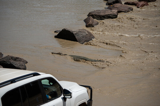 Crocks in Kakadu National park, Northern Territory, Australia