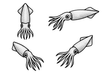 Stylized retro squid graphics with halftone design for marine themes