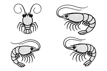 Fototapeta premium Retro style shrimp and prawn set with halftone texture in black and white