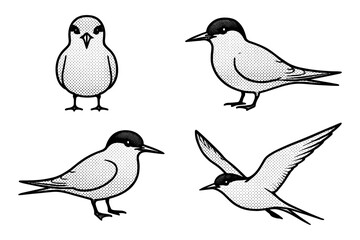 Vintage engraving of seabirds in classic halftone style