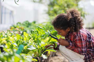 A young child carefully examines leafy vegetables in a garden using a magnifying glass