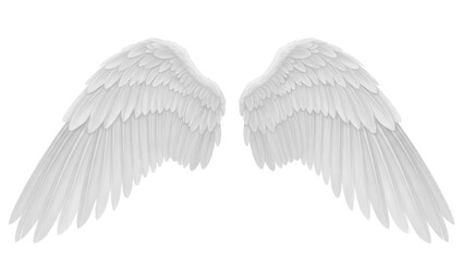 Obraz premium Pair of detailed white angel wings against a bright background