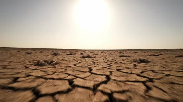 Arid cracked land with animal skeletons under a bright sky