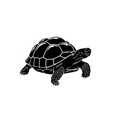 Detailed Black Tortoise Silhouette Illustration