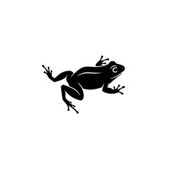 Silhouette of a Frog Jumping