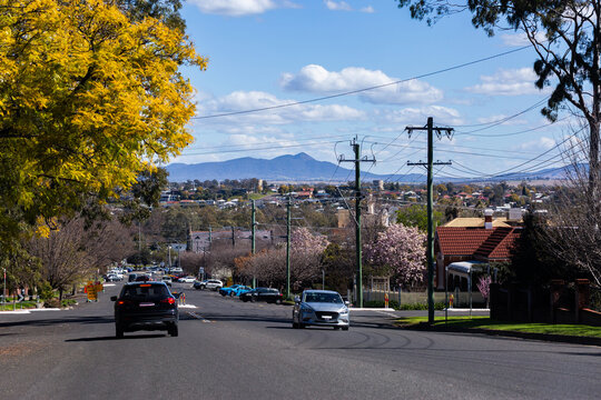 Tamworth streetscape in winter with trees beginning to flower