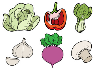 Cabbage, sweet pepper, champignon, beetroot, garlic linear drawing on white background