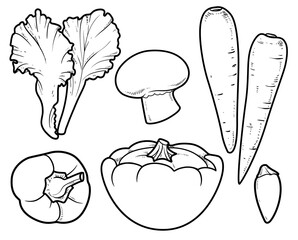 Lettuce leaves, champignon, squash, sweet pepper, hot pepper, carrots linear drawing for coloring page on white background