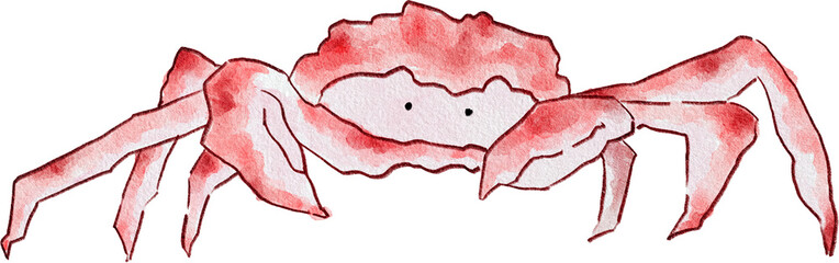 바다 생물 일러스트