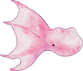 바다 생물 일러스트