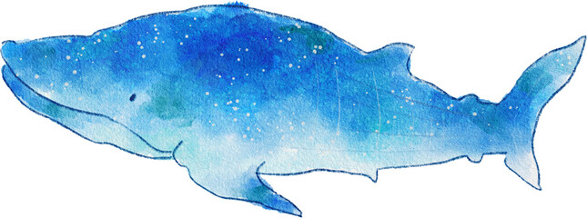 바다 생물 일러스트