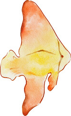 바다 생물 일러스트