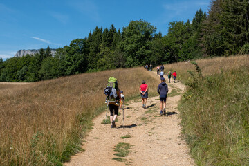 Promeneurs de dos sur un large chemin 