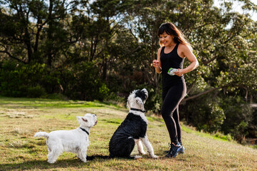 A woman engages her two dogs, one white and one black, in training activities outdoors