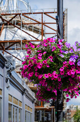 London - 01 07 2022: Flower pot hanging from a lamppost in Queensway