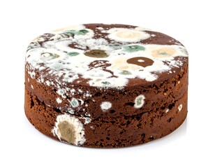 Close-up of a moldy chocolate dessert, showing various colored fungi growth, isolated