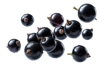 Fresh blackcurrant berries with water drops, isolated on white background, png