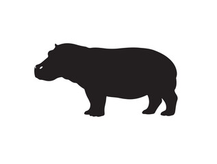 Hippopotamus in silhouette white background.