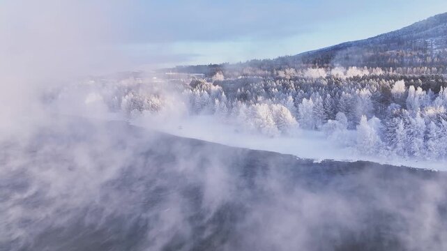 Winter background - a drone flies over the river and captures the magical bank of the Yenisei River with a fabulous white frozen forest on a frosty wonderful Christmas day in a foggy forest in distant