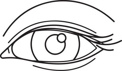 Detailed black and white eye silhouette with long lashes isolated on transparent background