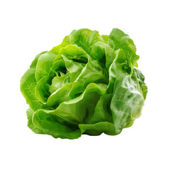 Head of green lettuce, isolated on white background, png