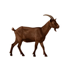 Brown Goat Illustration in Profile View