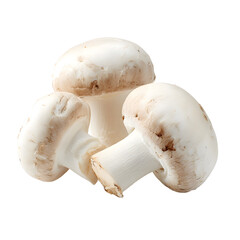 Three Fresh White Button Mushrooms Isolated on White Background