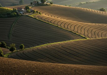 Fototapeta premium Bountiful agricultural landscape featuring steep, cultivated hillsides, rich soil, and mature crops awaiting the seasonal collection ,bounty ,food ,hillside