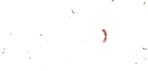 Golden and Multicolor 3D Confetti Falling Isolated on Transparent Background, Perfect Party and Event Celebration Overlay PNG Image.