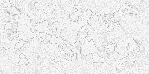 Minimalist Elevation Mapping Illustration
Detailed Geographic Curves Forming a Seamless Topo Pattern