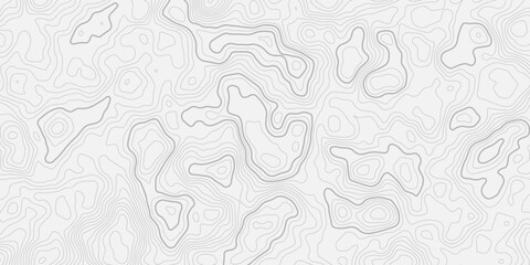 Abstract Continuous Topo Line Background
Black Linear Elevation Ridges Merging Into a Clean Grid Map