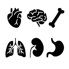 Human anatomy silhouette icons set – heart, brain, lungs, kidney, bone, stomach – medical vector illustration
