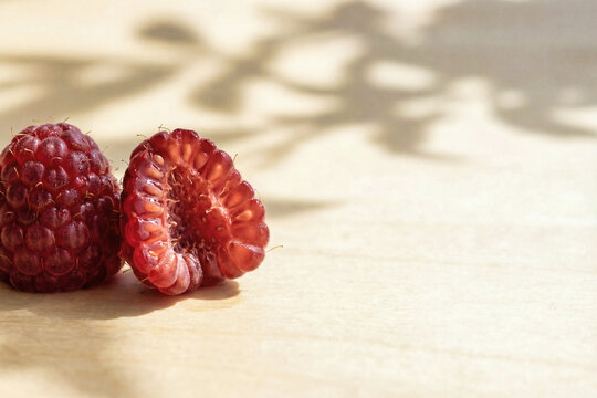 Fresh Raspberries with Leaf Shadow on Neutral Background - Copy Space