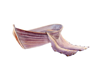 Weathered wooden fishing boat with discarded fishing net glows in sunset tones of pink,purple and gold light.Hand drawn illustration in soft watercolor gradients,gentle textures,for coastal branding
