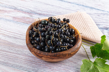 Ripe fresh black currants branches