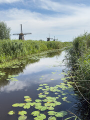 Historische Windm&uuml;hlen an ruhigem Wasserkanal