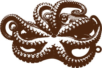 Obraz premium Brown octopus vector illustration isolated on transparent background