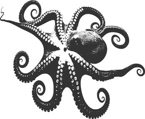 Stylized illustration of an octopus with eight tentacles spread, isolated on transparent background. © Prosun Design