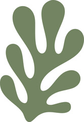 Abstract Coral Leaf | Minimal Botanical Line Art | Modern Organic Shape Illustration