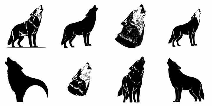 Howling Wolf Silhouettes and Detailed Illustrations Collection, Vector Art Set, Isolated on White Background.