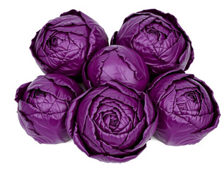 A group of purple cabbages arranged together on a white background
