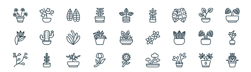 modern linear house plant icon set. vector thin line outline symbols for ui/ux app and web interfaces. minimal stroke collection including yucca, english ivy, fittonia, plant, spider plant, © XS Works